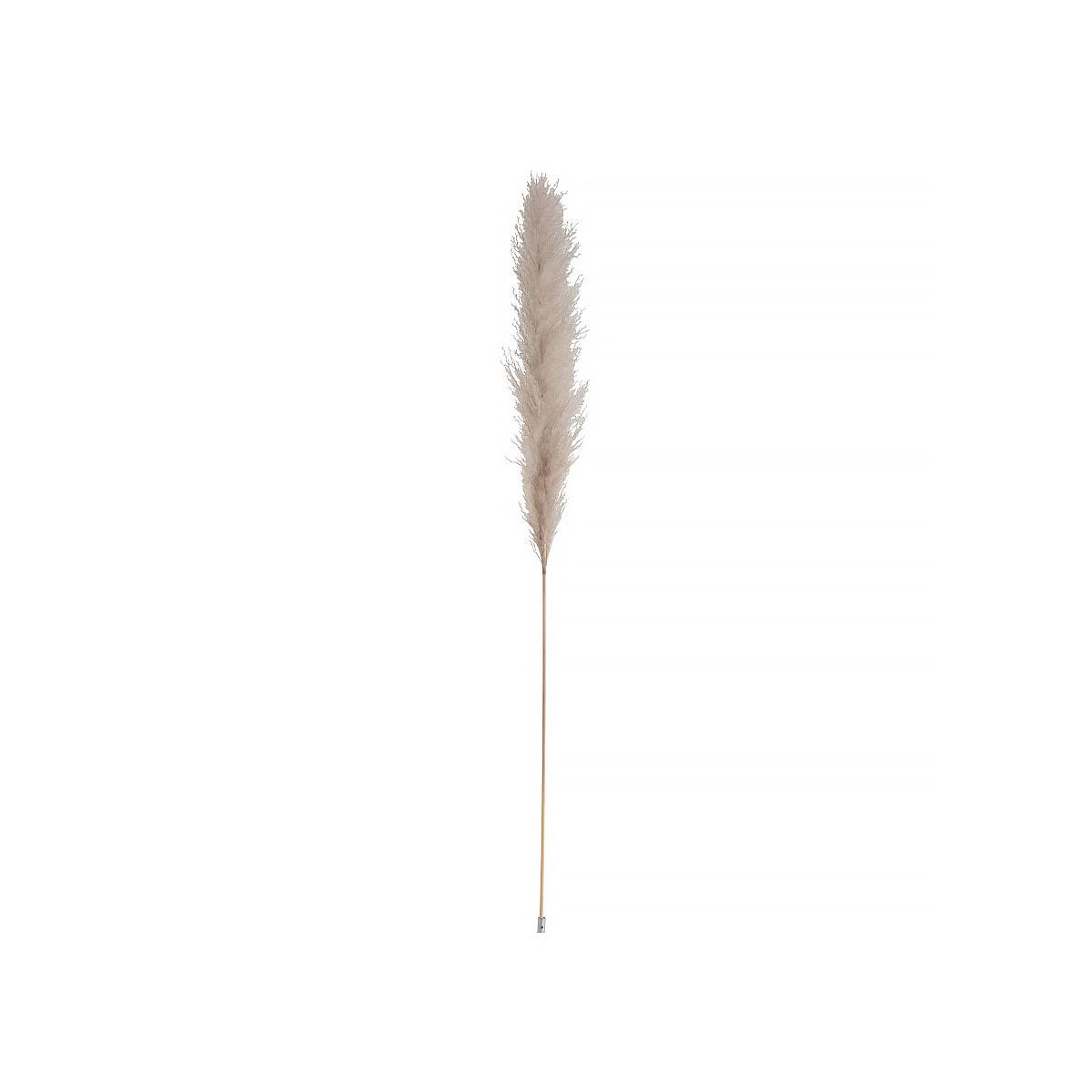 J-Linе Ветка PAMPAS 140см 2616