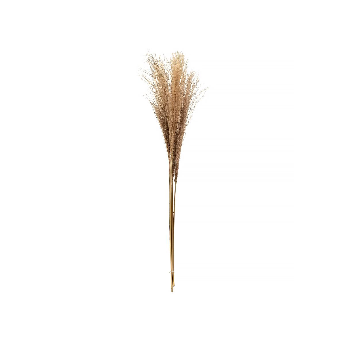 J-Linе Ветка PAMPAS 99cм 33217